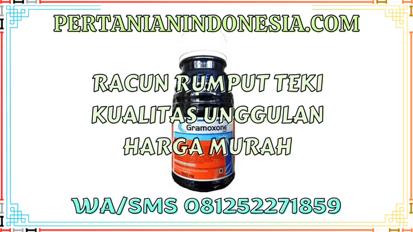 Racun Rumput Teki Kualitas Unggulan Harga Murah